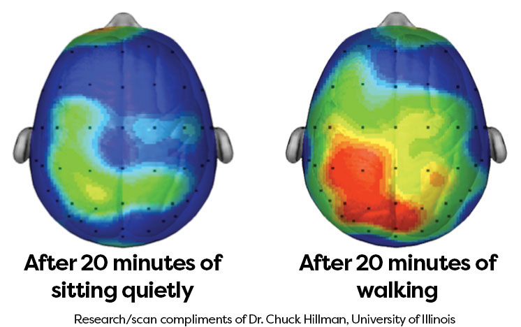 Hjärnans aktivitet vid fysisk aktivitet jämfört med stillasittande